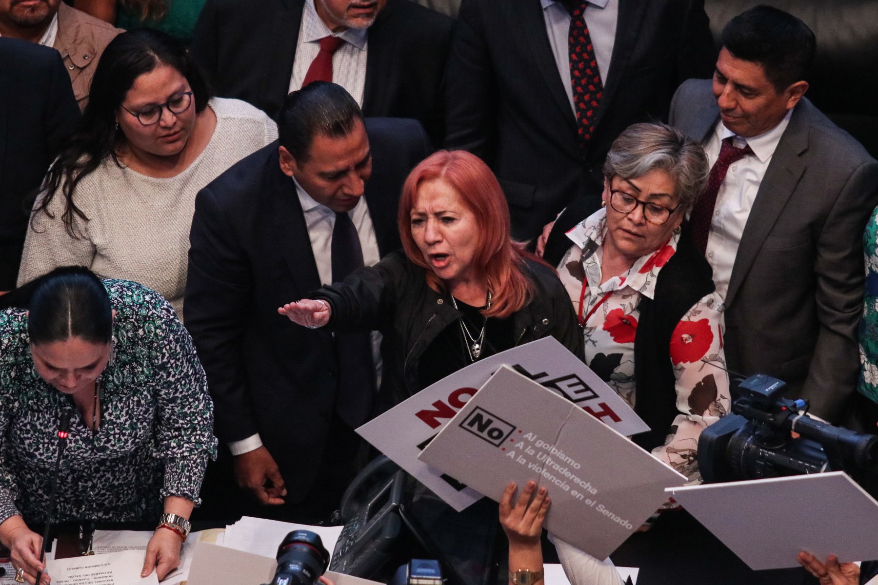 Senado pide a Rosario Piedra atender los temas que aquejan a la CNDH